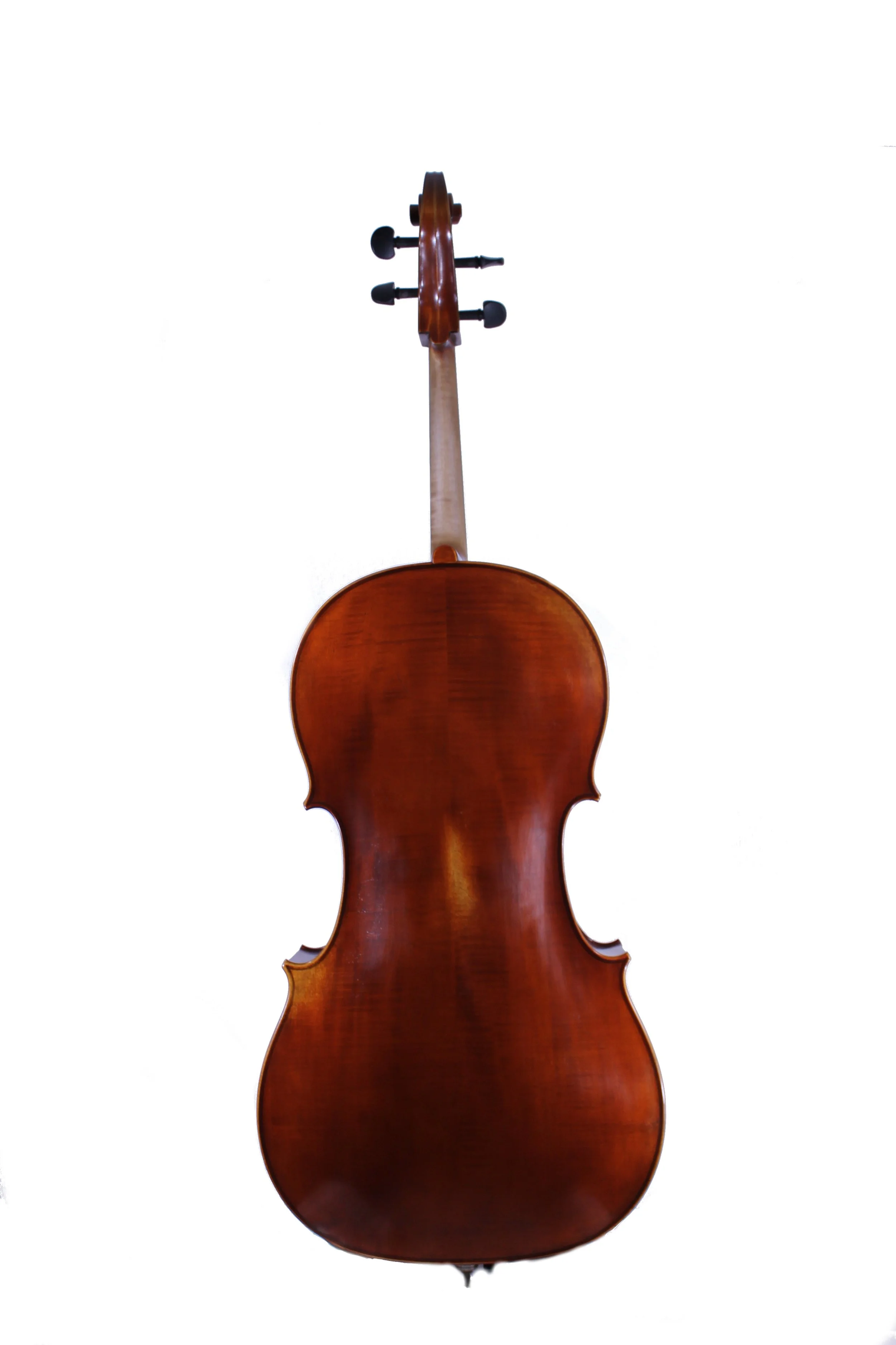 Eastman 305 Cello | Blackerby Violin Shop